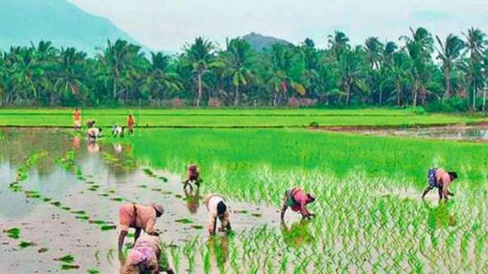 rs 9000 crore rythu bharosa released for farmers in telangana